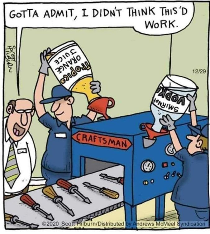 FUNNY CARTOON 01.jpg