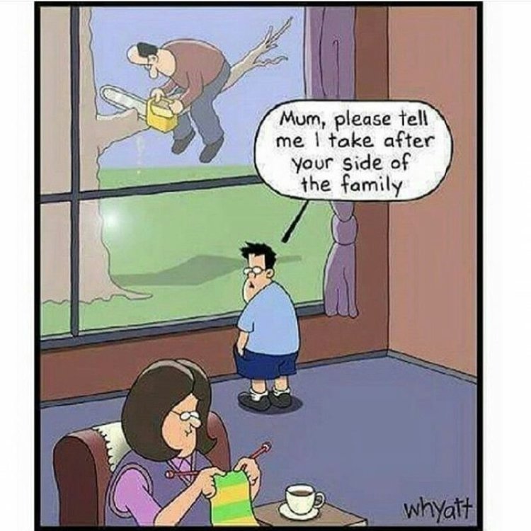 FUNNY CARTOON 04.jpg