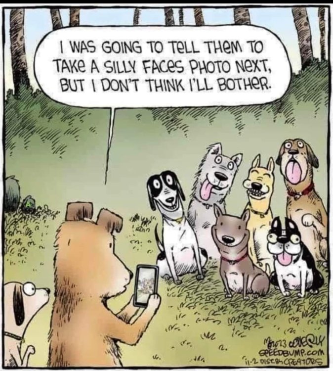 funny cartoon 03.jpg