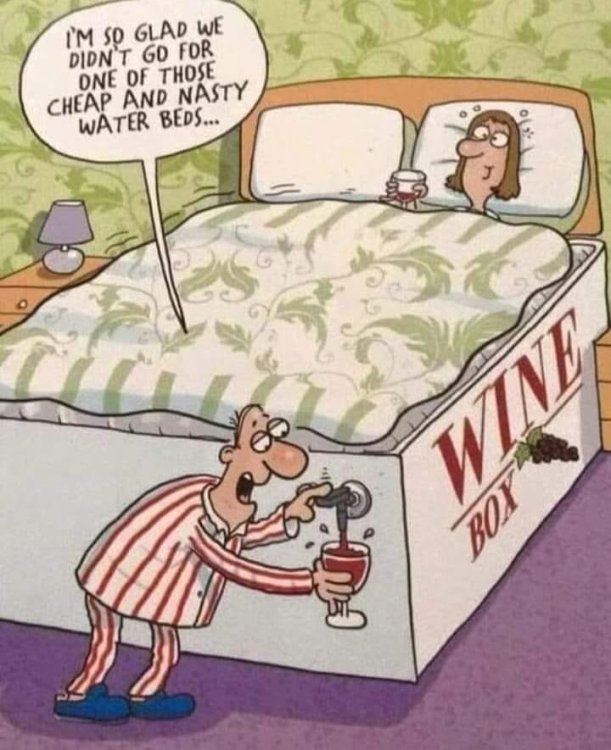 funny cartoon 05.jpg