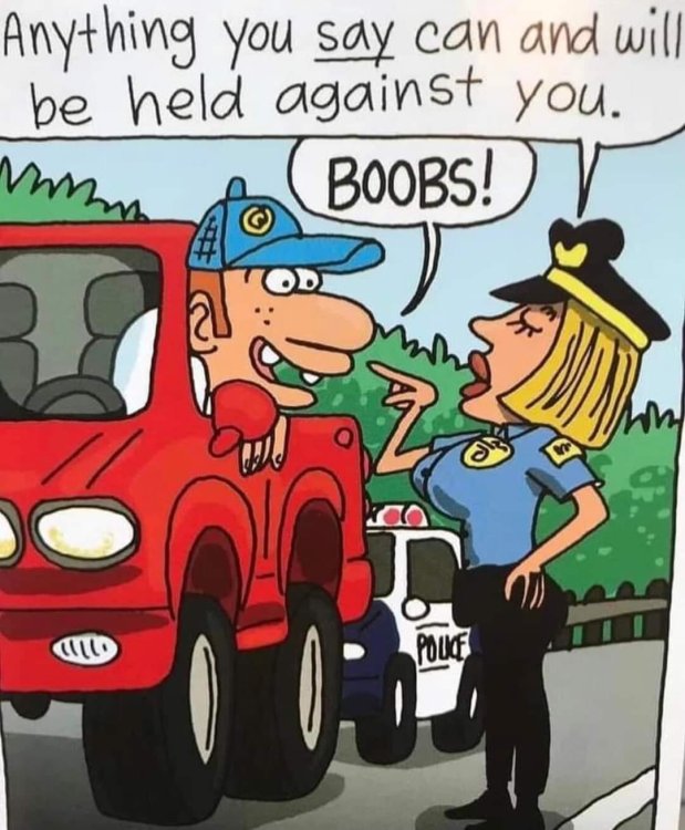 funny cartoon 06.jpg