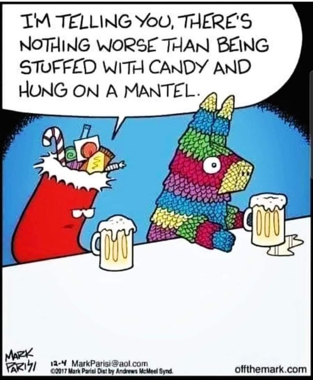 FUNNY CARTOON 01.jpg