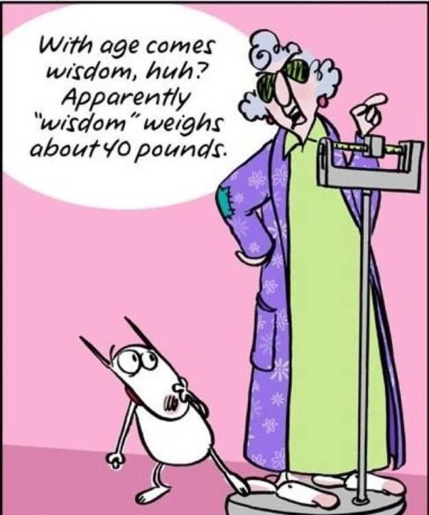 FUNNY CARTOON 05.jpg