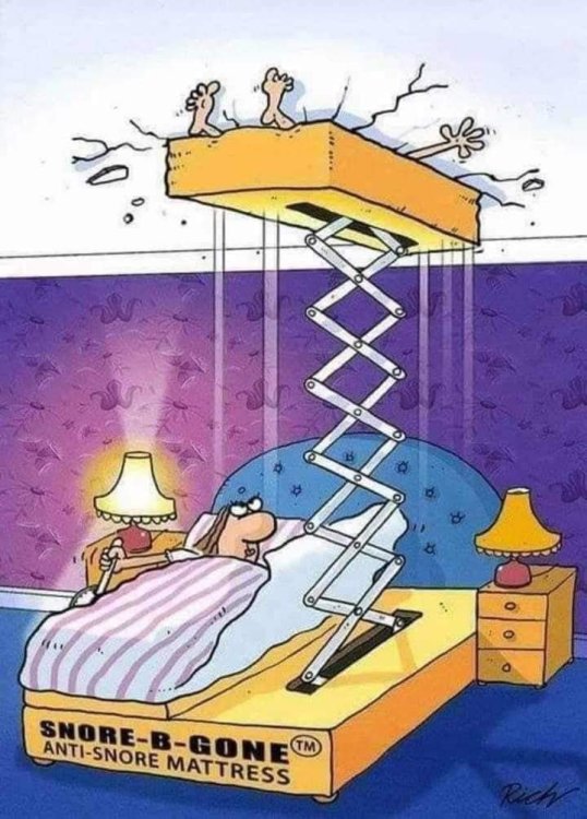 FUNNY CARTOON 06.jpg