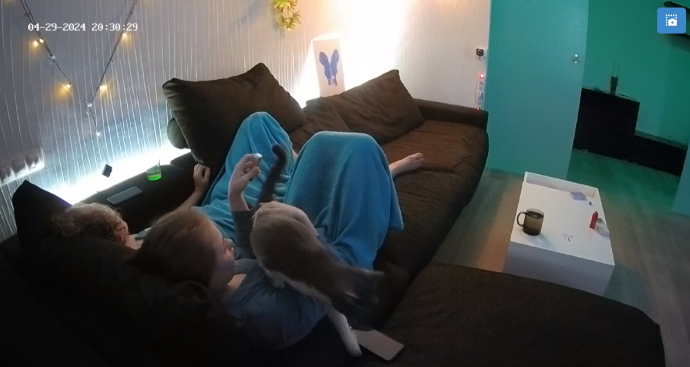 bandicam 2024-04-30 01-47-53-353.png