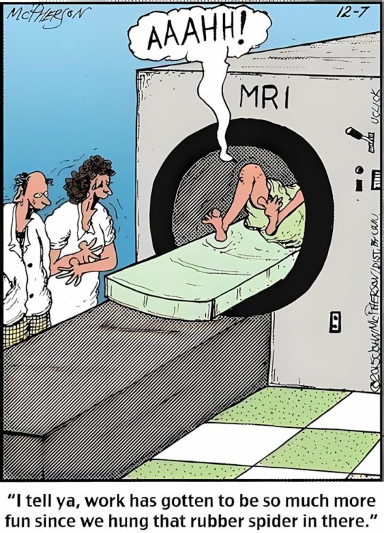 FUNNY CARTOON 06.jpg