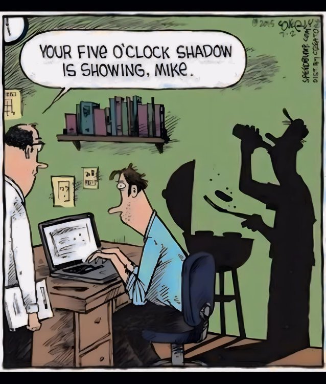 FUNNY CARTOON 07.jpg