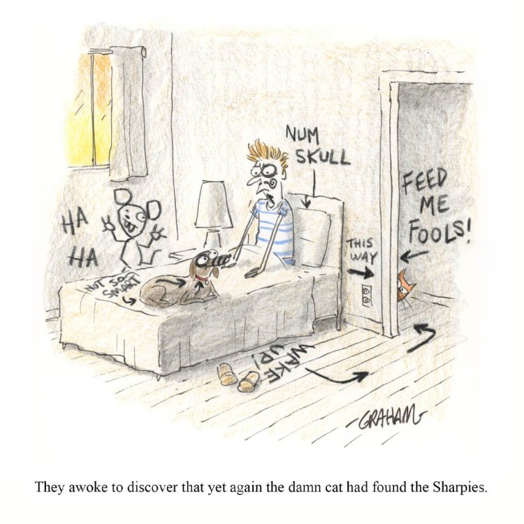 FUNNY CARTOON 08.jpg