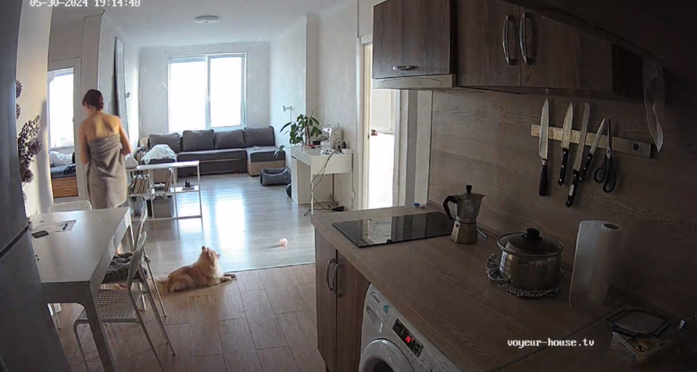 bandicam 2024-05-31 12-26-33-074.png