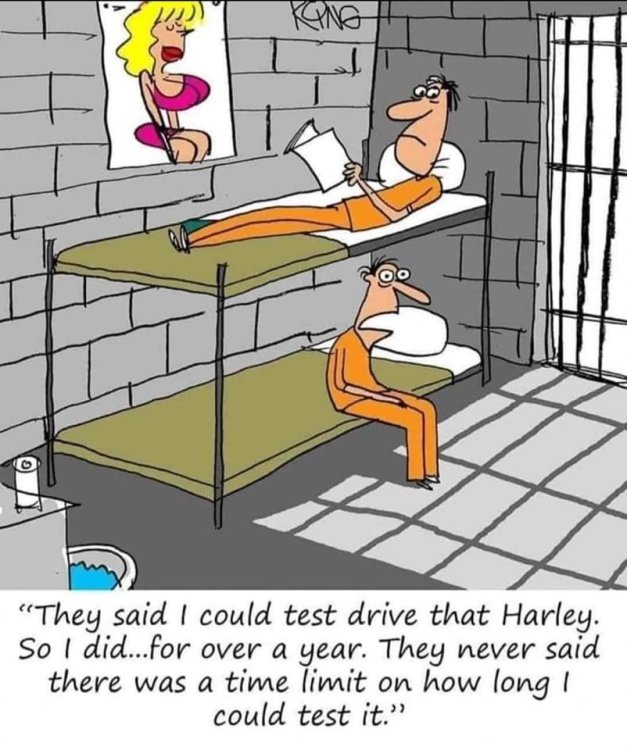 FUNNY CARTOON 01.jpg