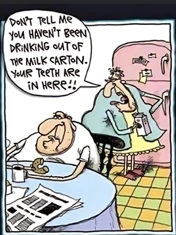 FUNNY CARTOON 01.jpg