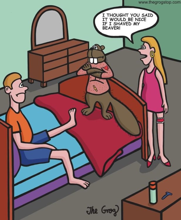 FUNNY CARTOON 02.jpg