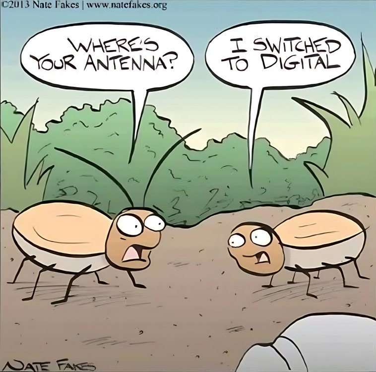 FUNNY CARTOON 04.jpg