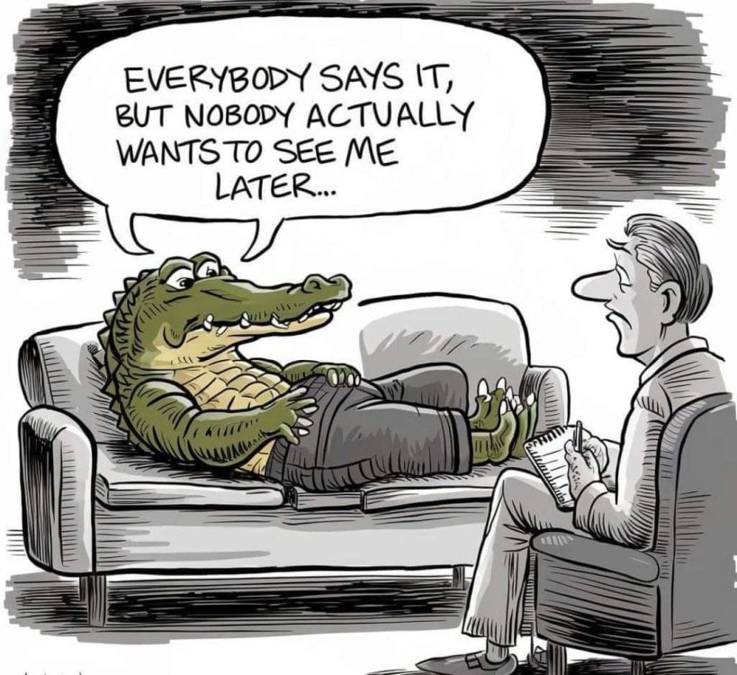 FUNNY CARTOON 06.jpg