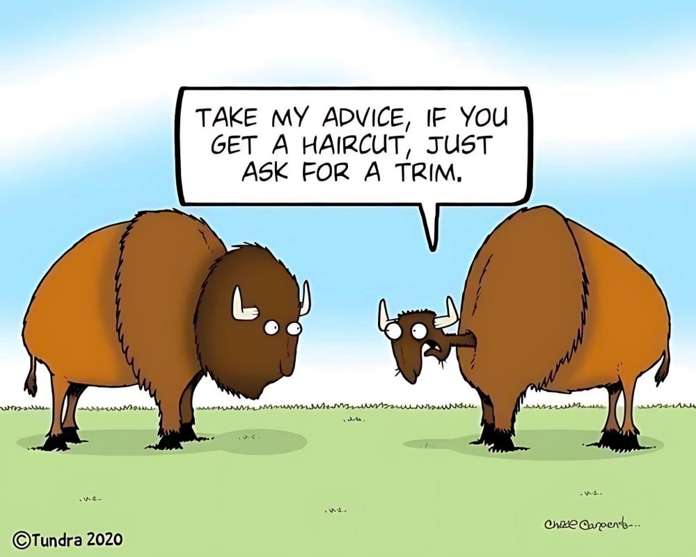 FUNNY CARTOON 07.jpg