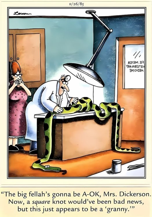 FUNNY CARTOON 07.jpg