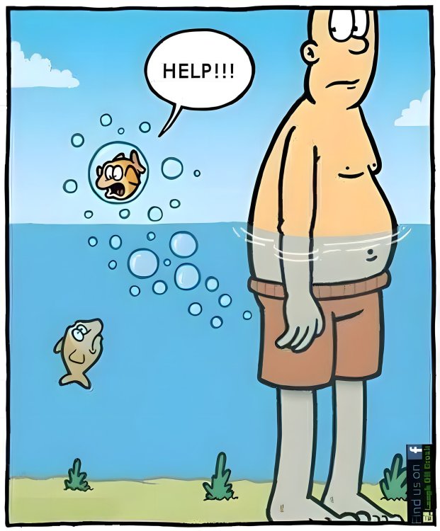 FUNNY CARTOON 08.jpg