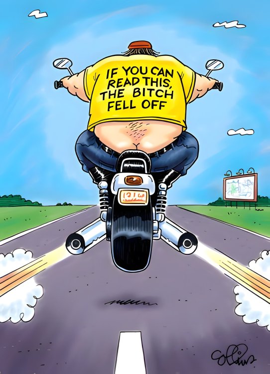 FUNNY CARTOON 09.jpg