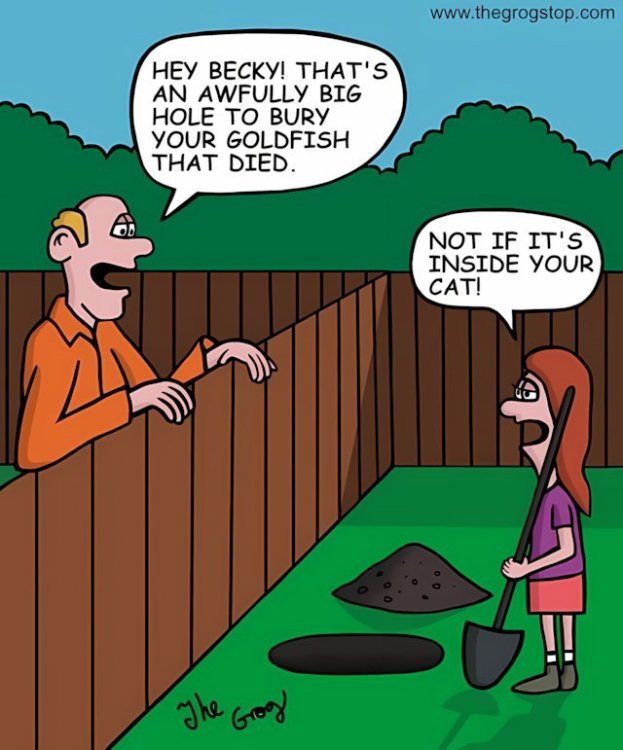 FUNNY CARTOON 11.jpg