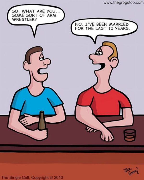 FUNNY CARTOON 13.jpg