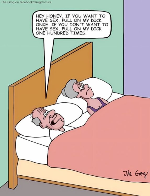 FUNNY CARTOON 15.jpg
