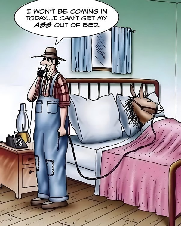 FUNNY CARTOON 16.jpg