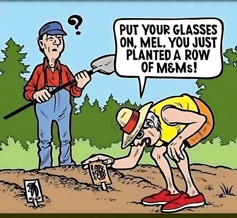 FUNNY CARTOON 23.jpg