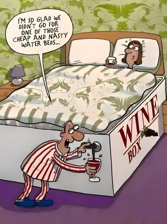 FUNNY CARTOON 26.jpg