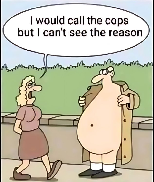 FUNNY CARTOON 28.jpg