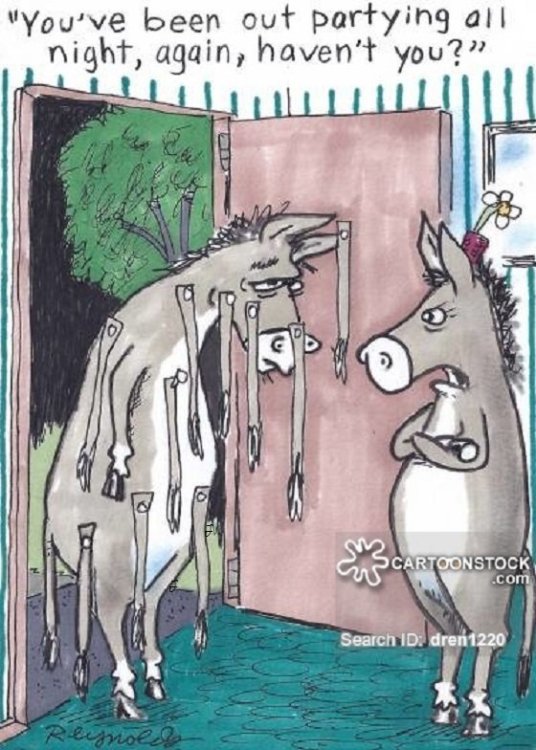 FUNNY CARTOON 29.jpg