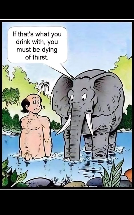 FUNNY CARTOON 31.jpg