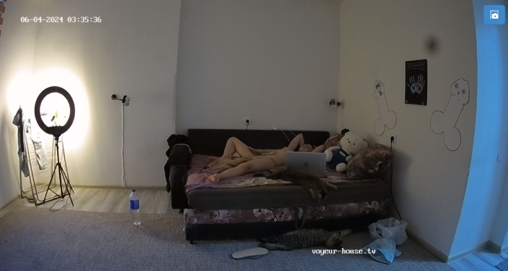 bandicam 2024-06-04 10-22-28-771.png