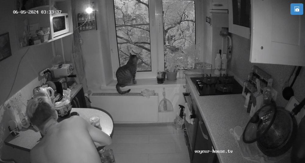 bandicam 2024-06-05 17-36-54-738.png