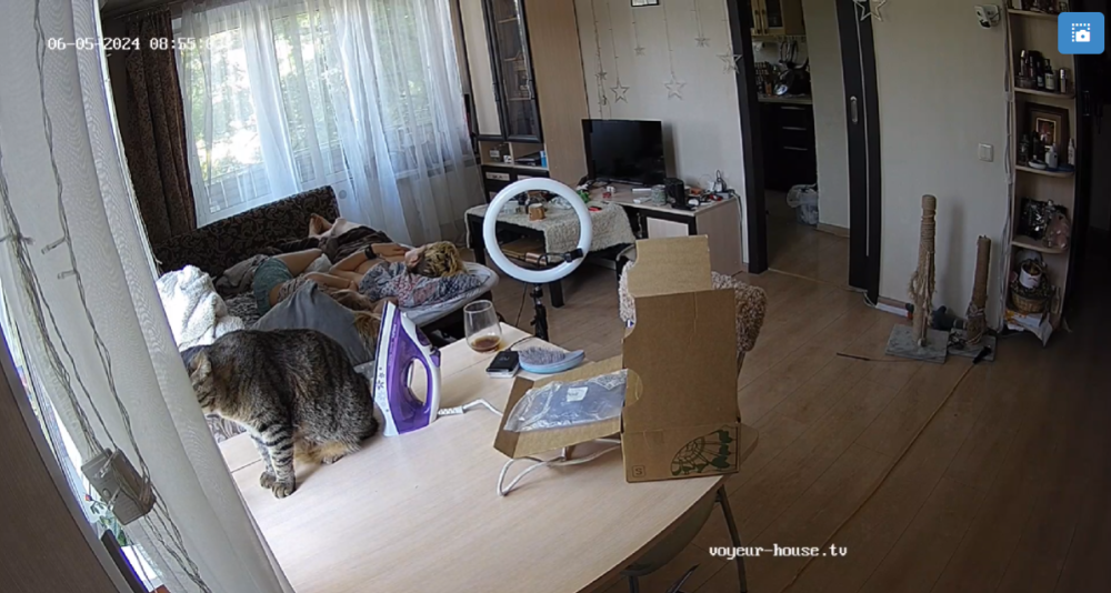 bandicam 2024-06-05 17-38-01-892.png