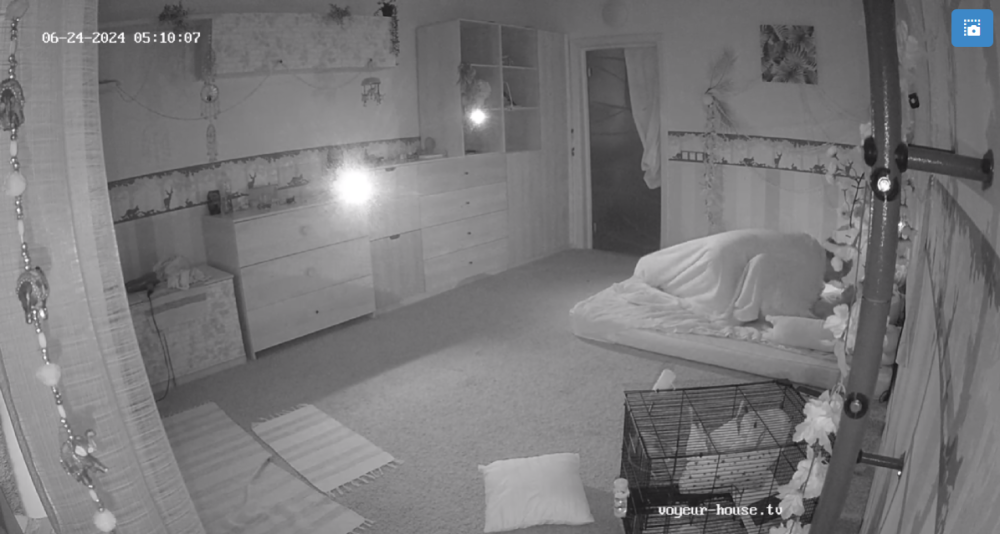 bandicam 2024-06-24 18-03-12-116.png