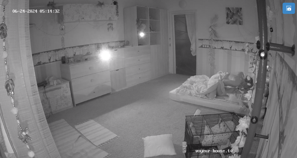 bandicam 2024-06-24 18-03-53-156.png