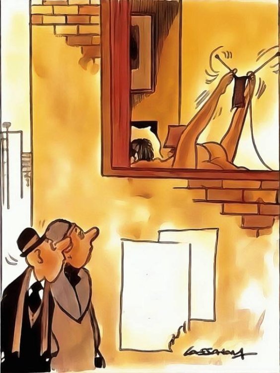 FUNNY CARTOON 05.jpg