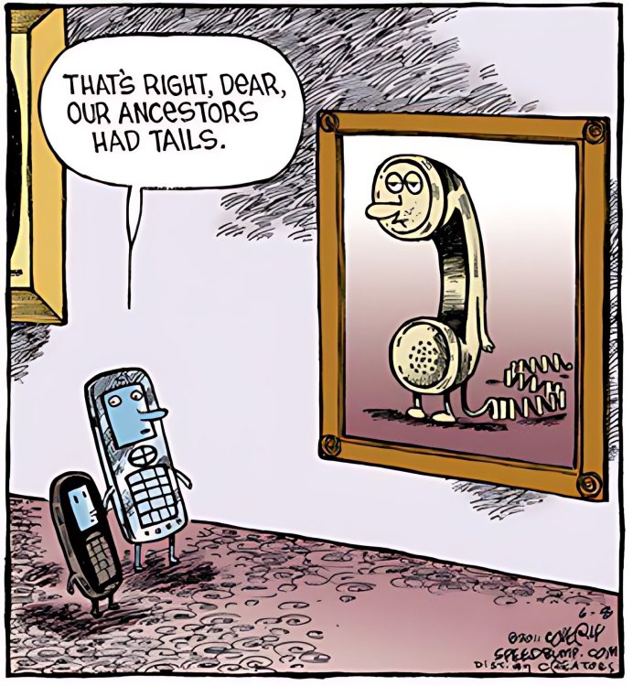 FUNNY CARTOON 09.jpg