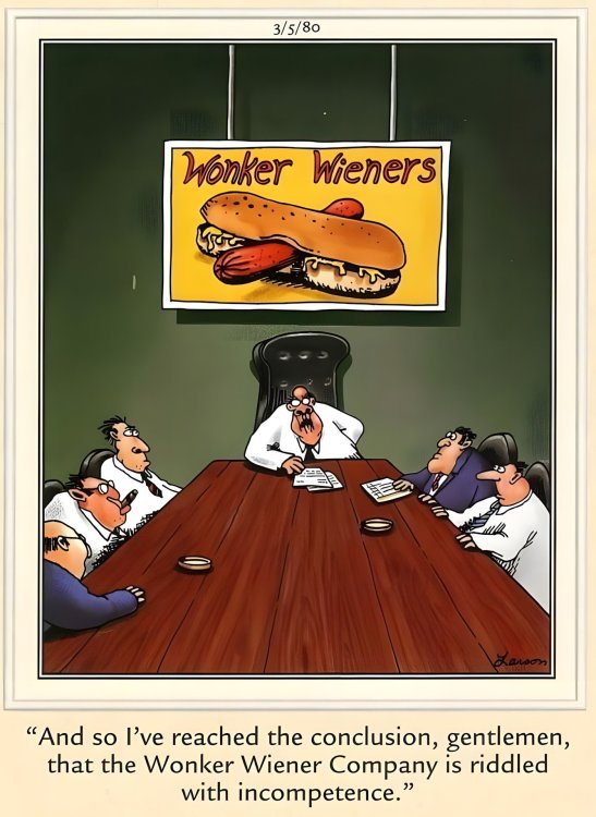 FUNNY CARTOON 10.jpg