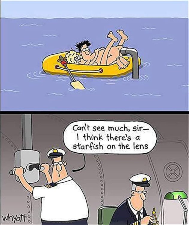 FUNNY CARTOON 107.jpg