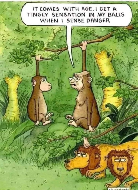 FUNNY CARTOON 109.jpg