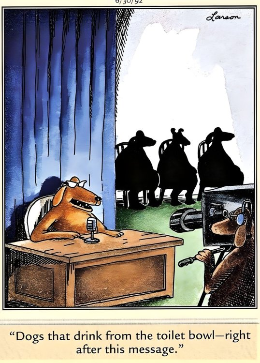 FUNNY CARTOON 11.jpg