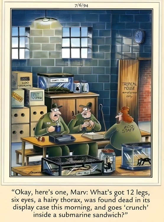 FUNNY CARTOON 12.jpg