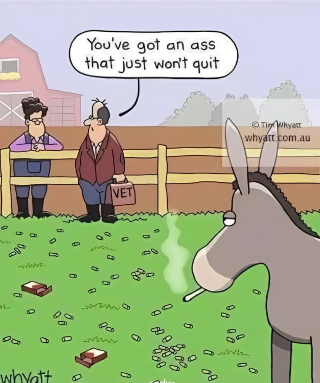 FUNNY CARTOON 22.jpg