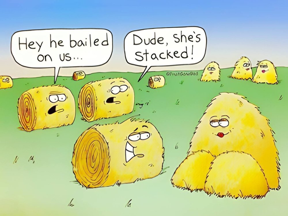 FUNNY CARTOON 24.jpg