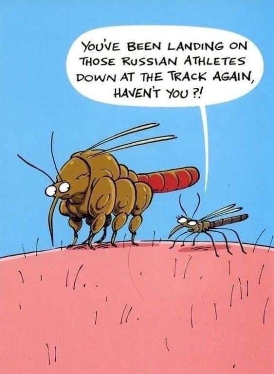 FUNNY CARTOON 26.jpg