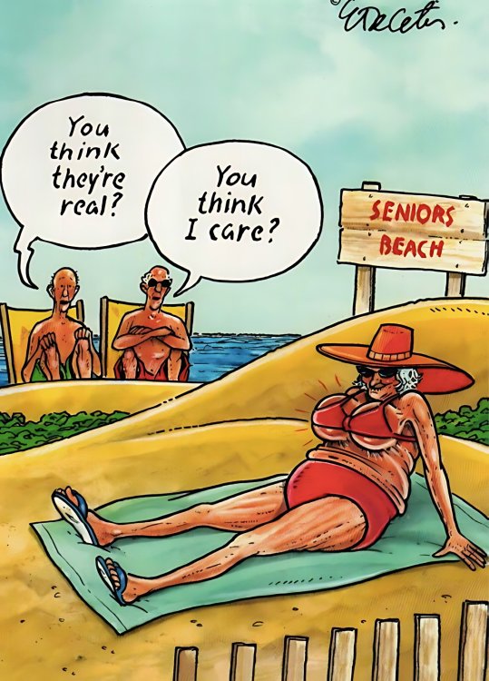 FUNNY CARTOON 29.jpg