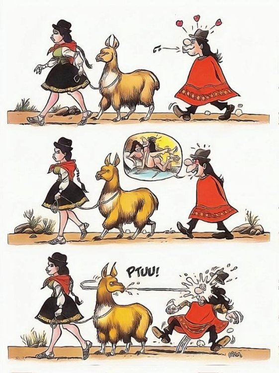 FUNNY CARTOON 33.jpg