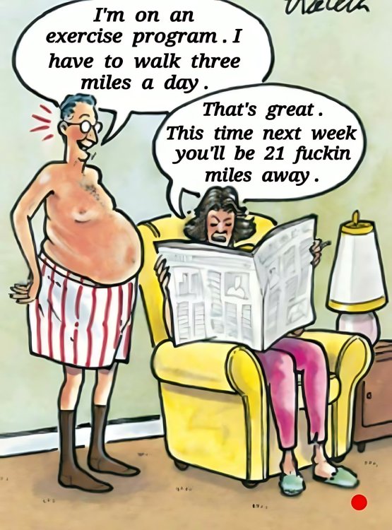 FUNNY CARTOON 41.jpg