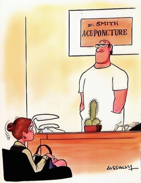 FUNNY CARTOON 46.jpg